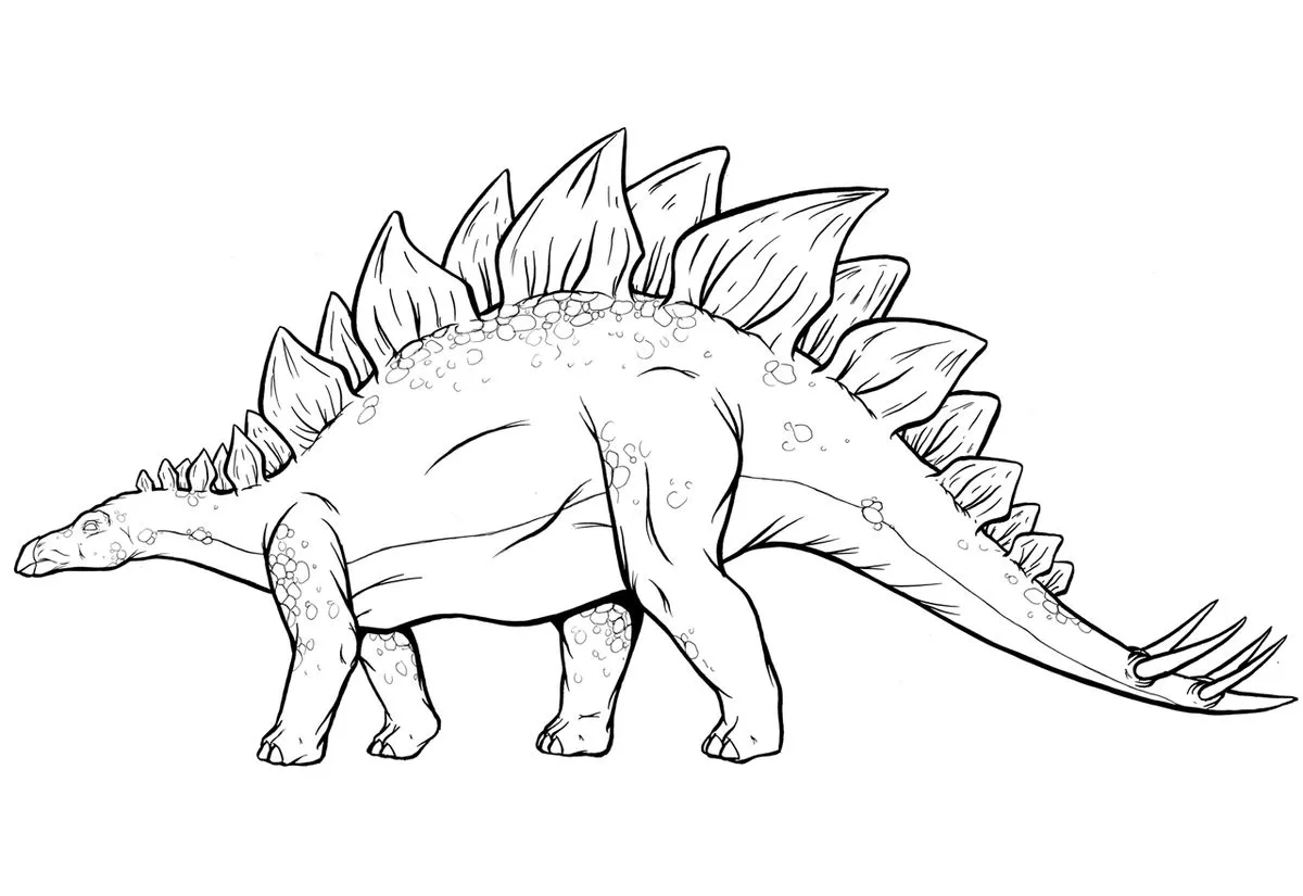Haz clic para descargar dibujo de Estegosaurio Detallado para colorear e imprimir gratis Estegosaurio Detallado para colorear HD fácil y bonito - Descarga e imprime gratis - Dibujo exclusivo de Dinosaurios