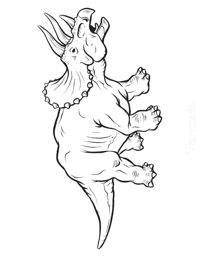 Haz clic para descargar dibujo de Triceratops en Perspectiva para colorear e imprimir gratis Triceratops en Perspectiva para colorear HD fácil y bonito - Descarga e imprime gratis - Dibujo exclusivo de Dinosaurios