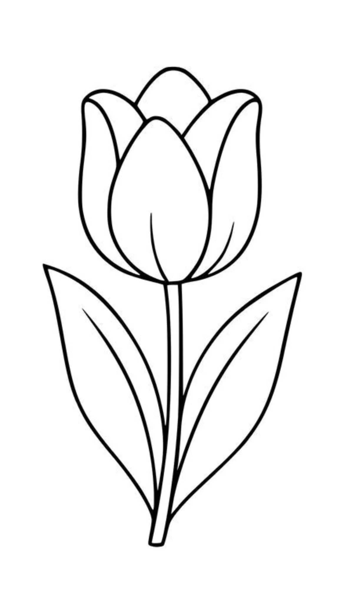Tulipán Sencillo para colorear e imprimir Dibujo de Tulipán Sencillo de Flores para colorear