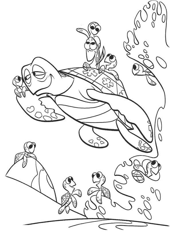 Crush y las Tortugas Bebe para colorear HD fácil y bonito - Descarga e imprime gratis - Dibujo exclusivo de Buscando