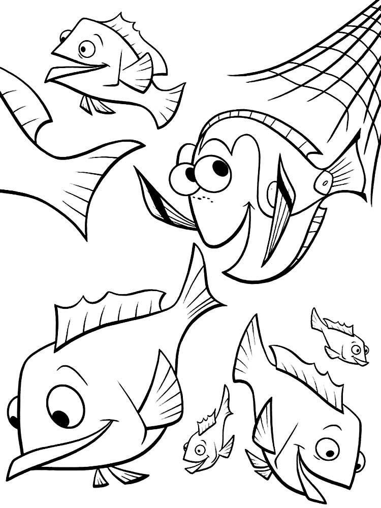 Dory y los Peces en la Red para colorear HD fácil y bonito - Descarga e imprime gratis - Dibujo exclusivo de Buscando