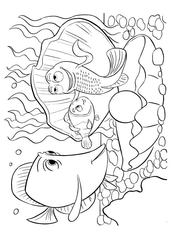 Peces del Acuario en el Arrecife para colorear HD fácil y bonito - Descarga e imprime gratis - Dibujo exclusivo de Buscando