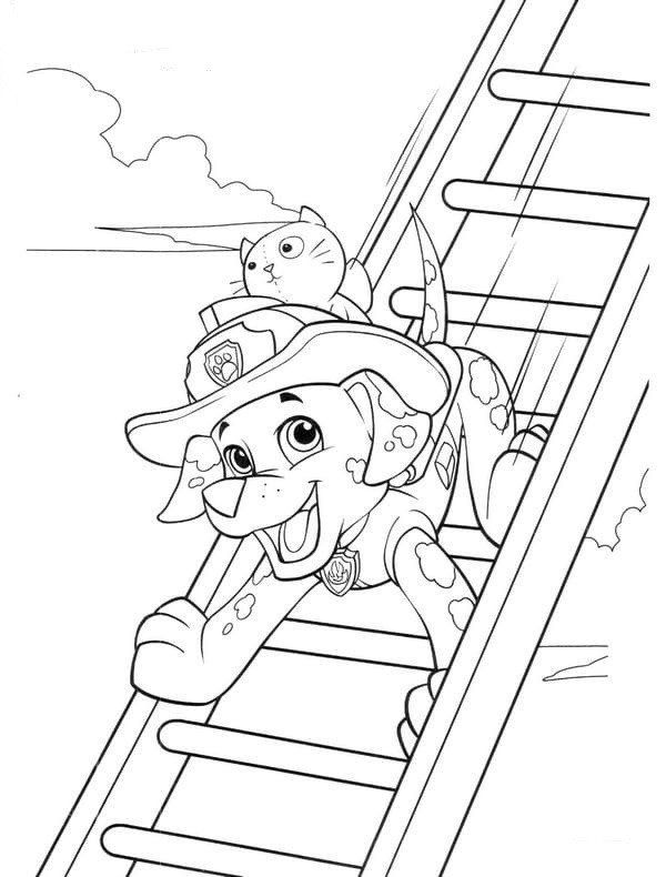 Dibujo relacionado de Marshall Rescate Gato para colorear