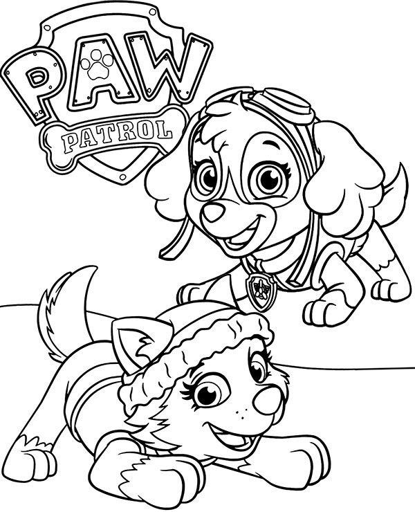 Haz clic para descargar dibujo de Skye y Everest Listas para Jugar para colorear e imprimir gratis Skye y Everest Listas para Jugar para colorear HD fácil y bonito - Descarga e imprime gratis - Dibujo exclusivo de Patrulla Canina