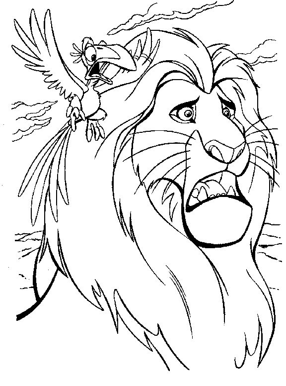 Mufasa y Zazú para colorear HD fácil y bonito - Descarga e imprime gratis - Dibujo exclusivo de El