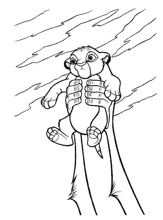 Rafiki con Simba Bebé para colorear HD fácil y bonito - Descarga e imprime gratis - Dibujo exclusivo de El