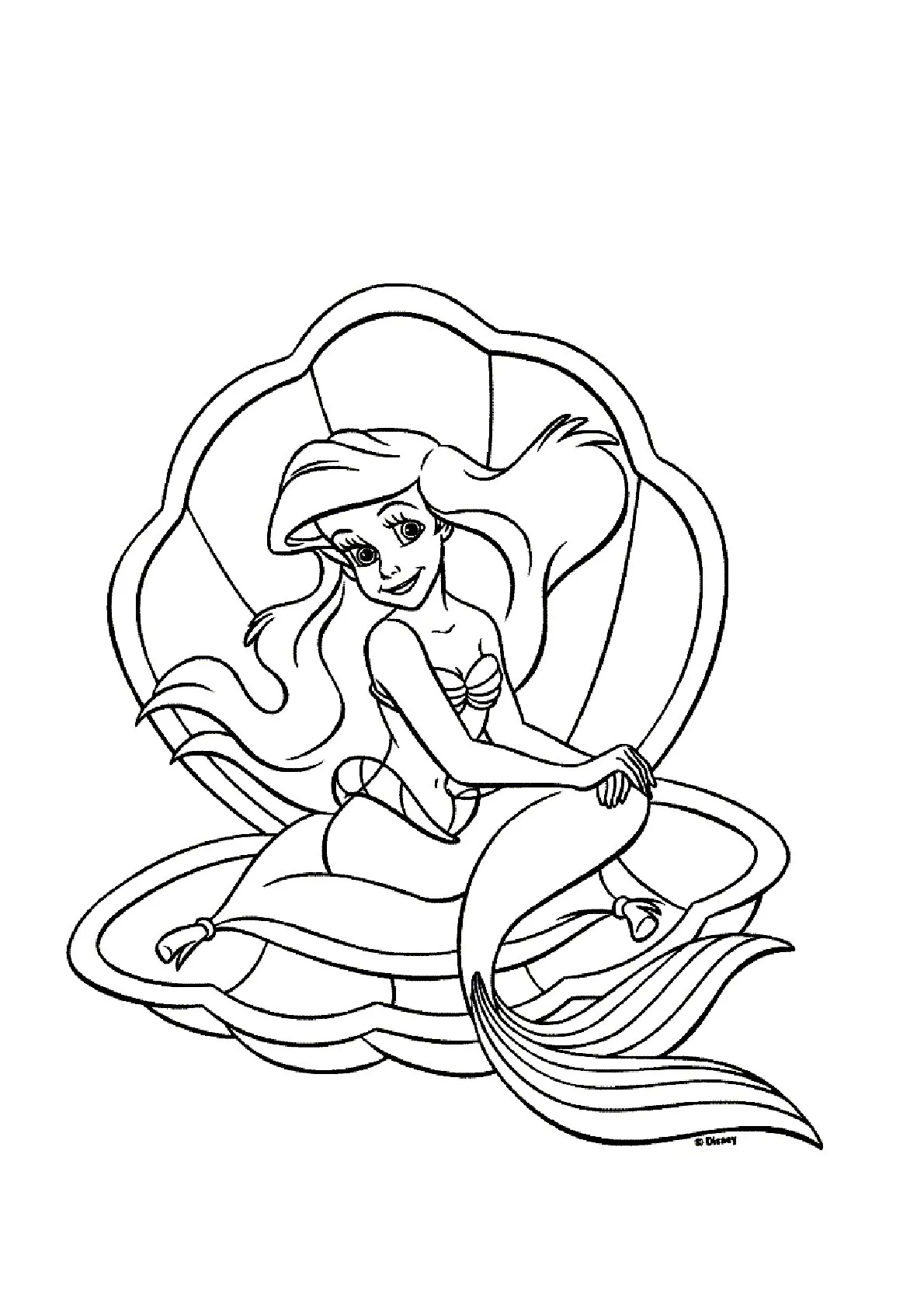 Ver dibujo completo de Ariel con Concha para colorear Dibujo de Ariel con Concha para colorear e imprimir gratis - Plantilla en alta calidad