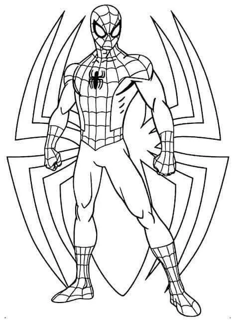 Logo Grande de Spiderman para colorear HD fácil y bonito - Descarga e imprime gratis - Dibujo exclusivo de Spiderman