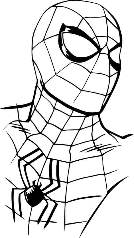 Máscara de Spiderman para colorear HD fácil y bonito - Descarga e imprime gratis - Dibujo exclusivo de Spiderman
